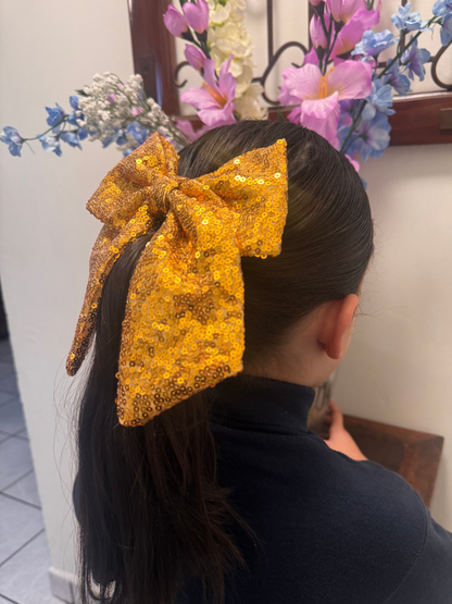 Bows de Lentejuelas